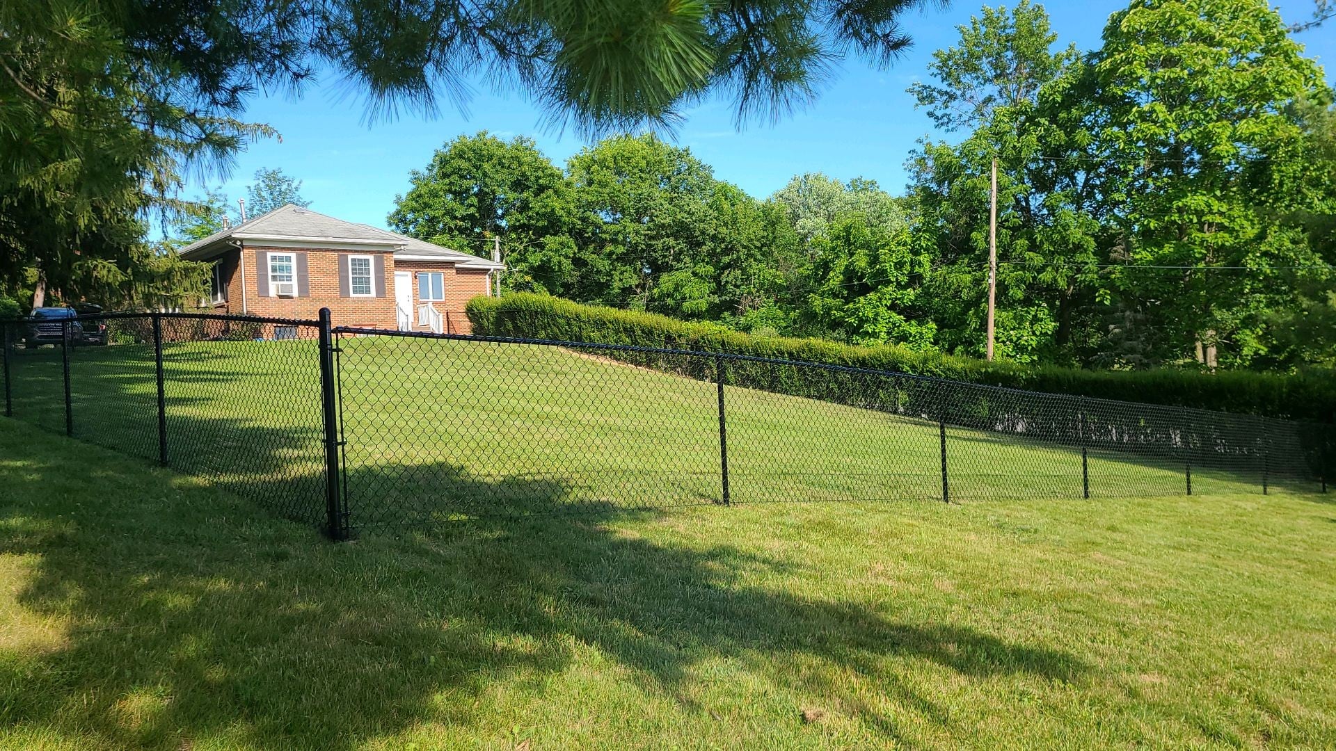 Buckhannon fence company